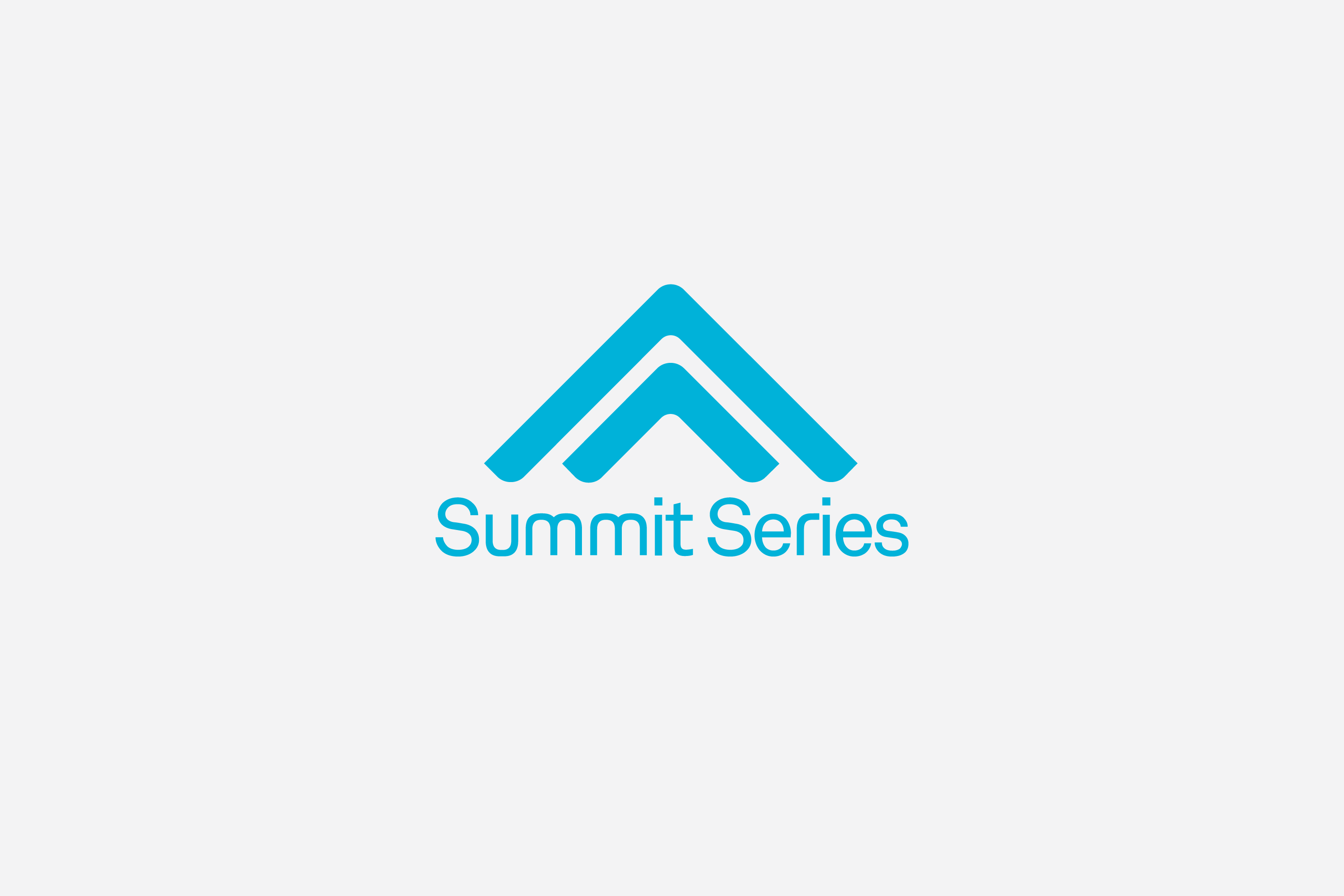 Logo Mark